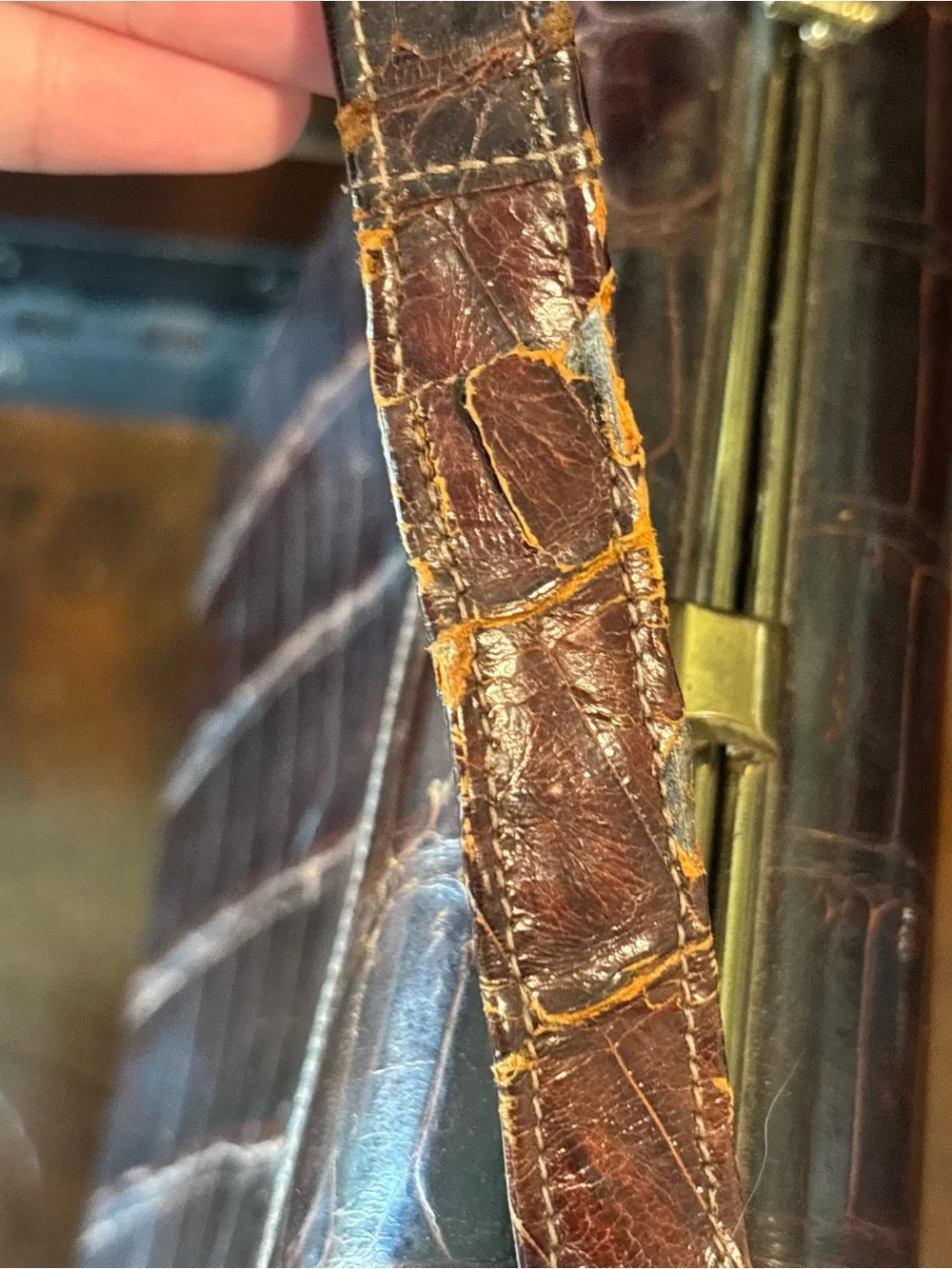 Vintage 1950s Genuine Alligator Skin Top Handle Box Bag